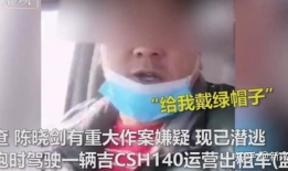 绿帽视频,揭秘现代都市中的情感陷阱与道德困境